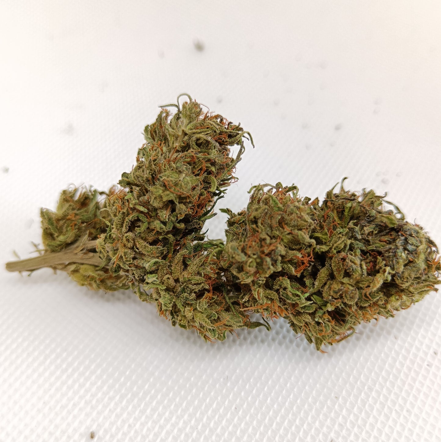 Fleurs CBD - Kompolti
