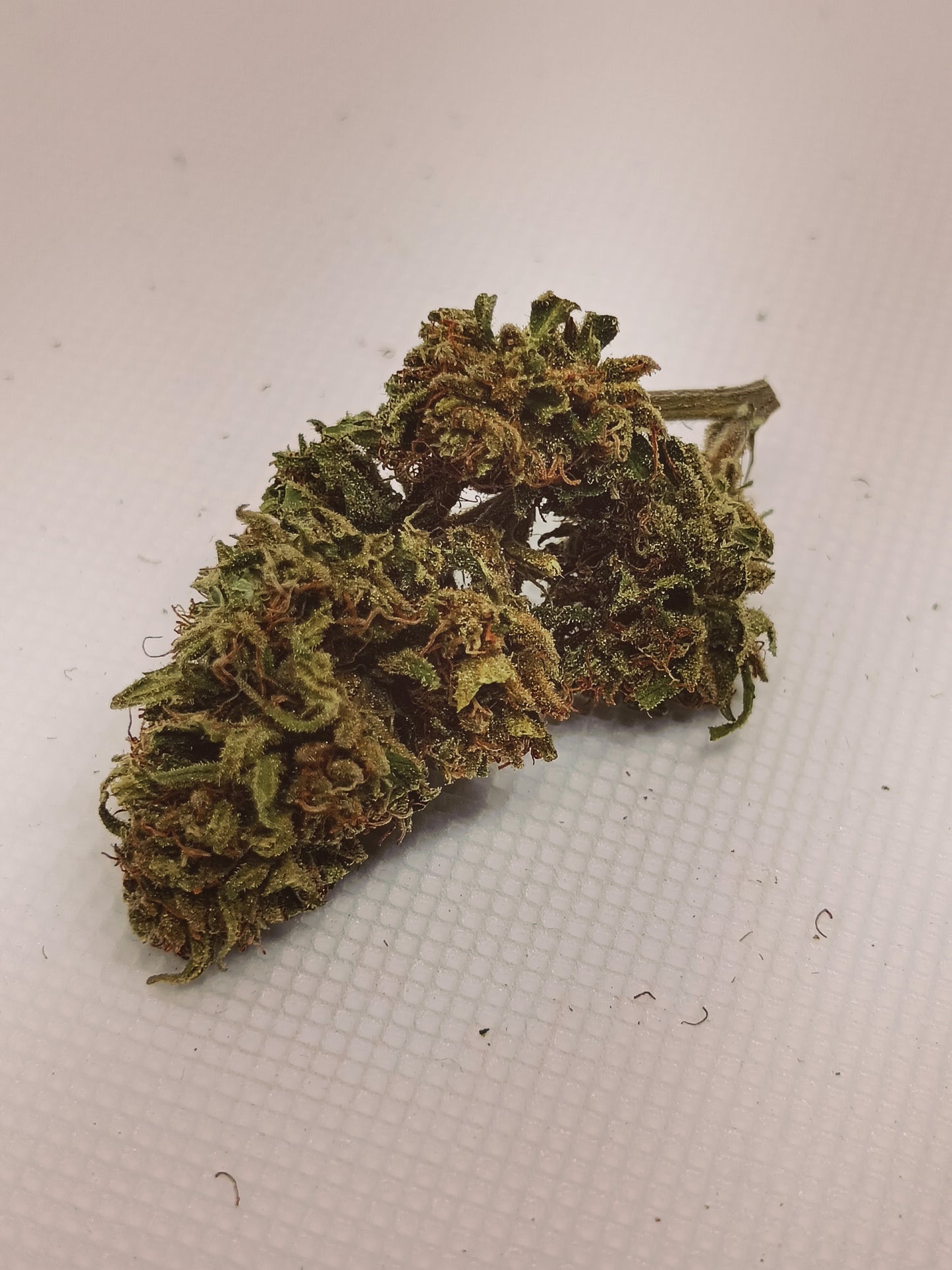 Fleurs CBD Sweet Critical