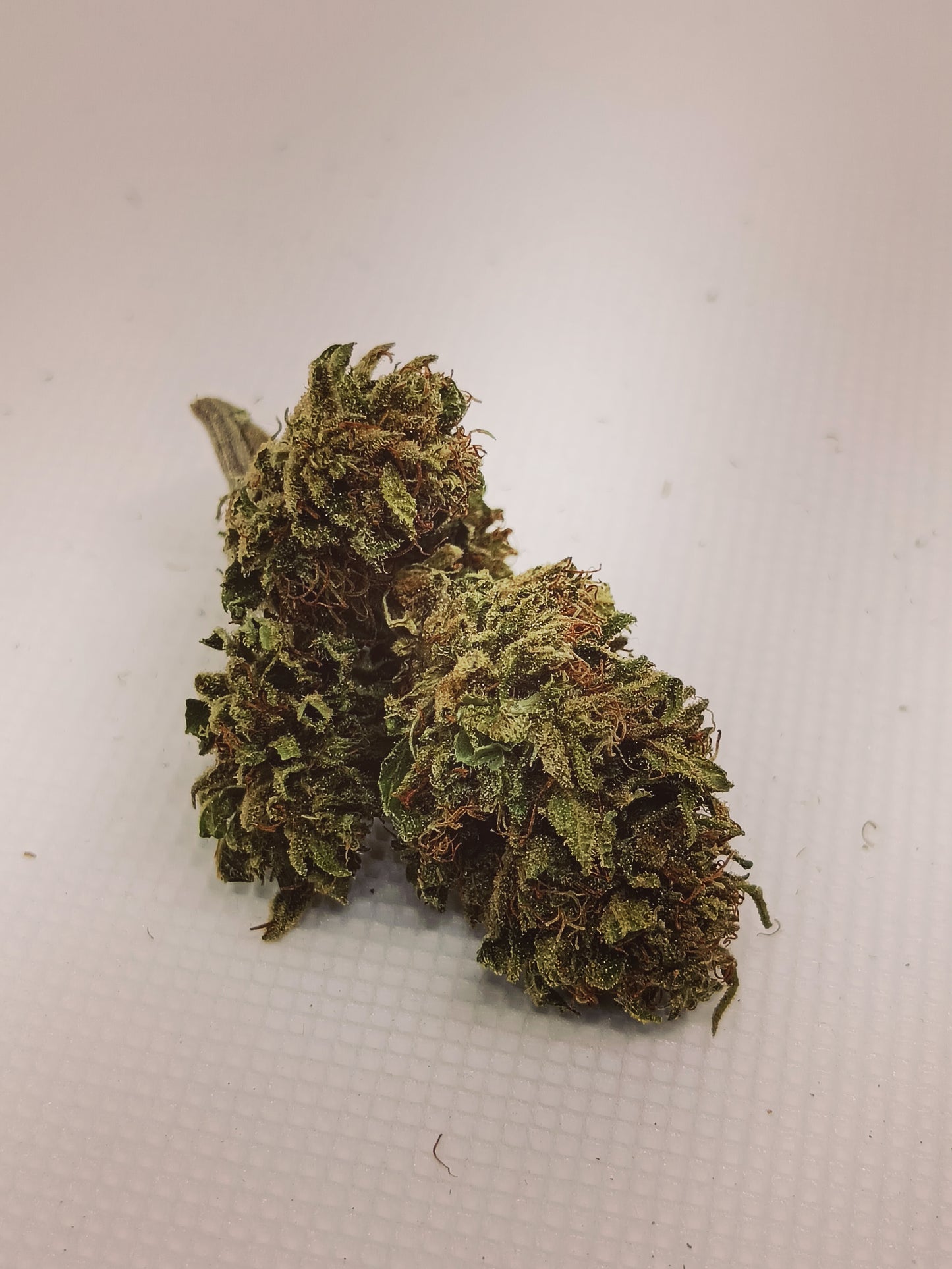 Fleurs CBD Sweet Critical