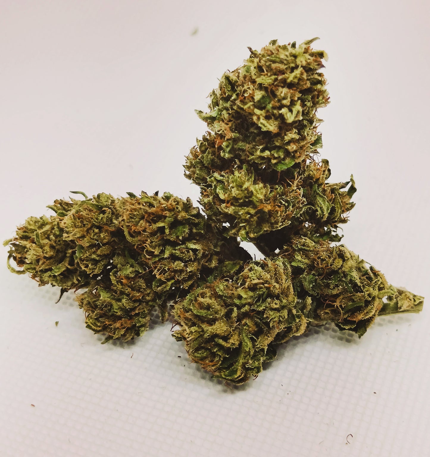 Fleurs CBD Sweet Critical